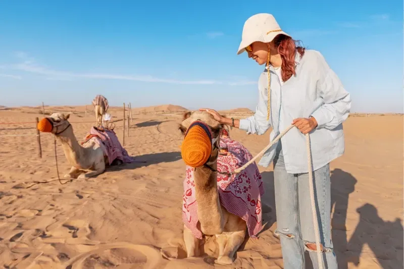 Wüstentour Ägypten: Weiße Wüste & Bahariya erleben